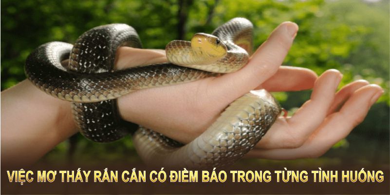 Việc mơ thấy rắn cắn có điềm báo trong từng tình huống